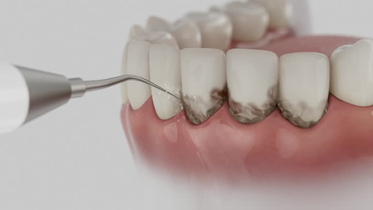 Reliable Dental contractor in Clayton, NM by Dentist Open Now